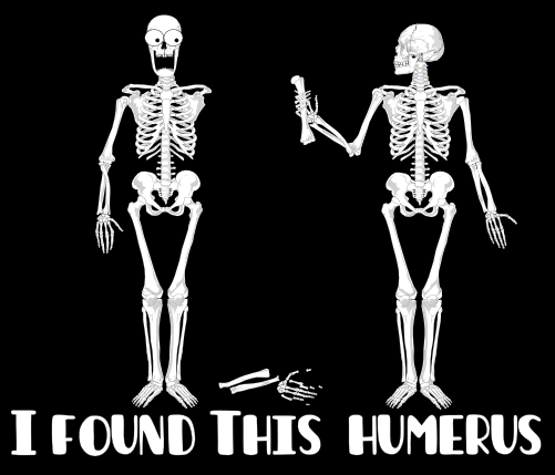[Image: I+found+this+humerus+skeletons+have+a+we...291172.png]