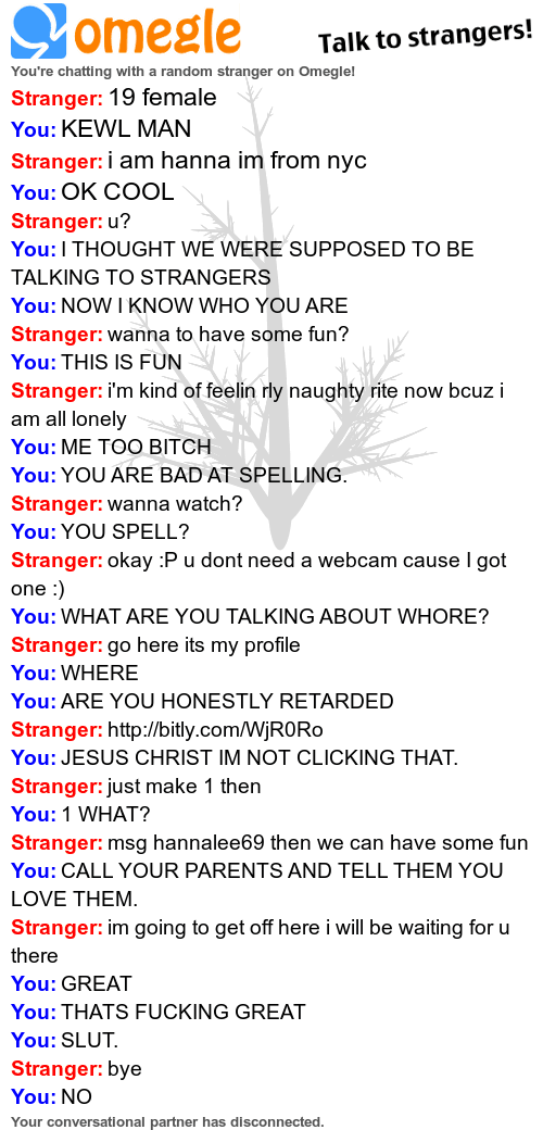 I just had the funniest convo on omegle