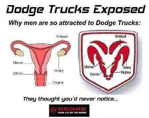 Trucks pussy and Nude in