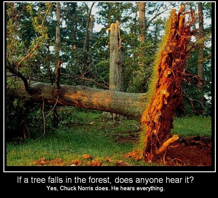 If a tree falls in the forest