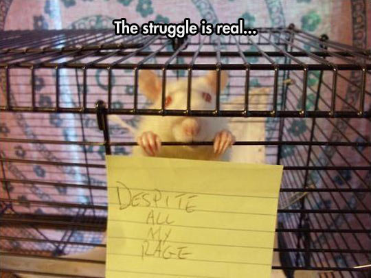 Like A Rat In A Cage
