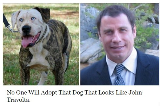 John Travolta Dog