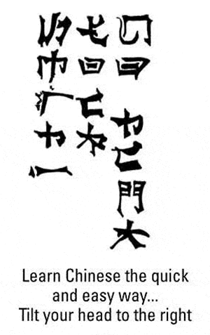 Learn+chinese+easy+this+was+always+my+favorite+old+funnyjunk_d53a67_3920927.gif