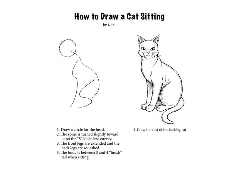 Learn to draw a cat