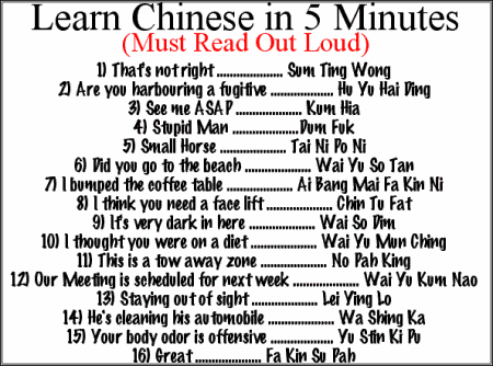 chinese learn minutes joke funny read puns asian mandarin quotes speak study outloud quotesgram