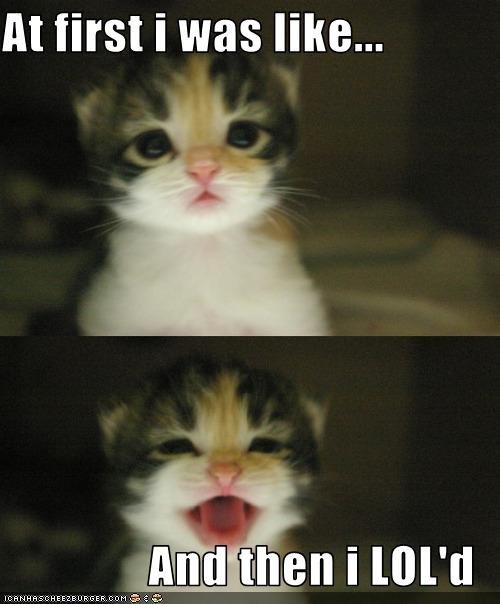 kitty kat lol