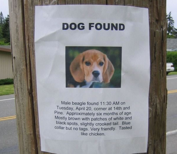 Lost Dog Found