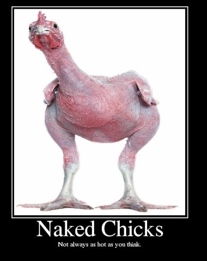 Uploaded Image