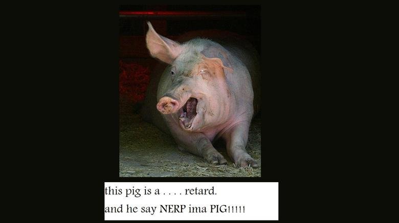 NERP IMA RETARD PIG