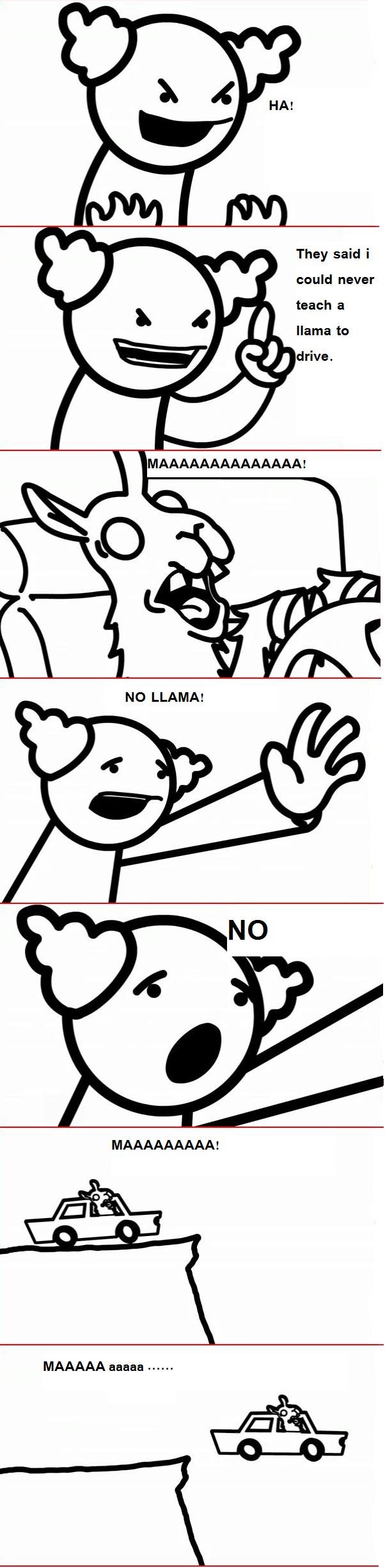 NO Llama NO