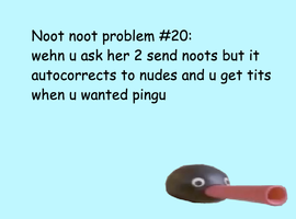 Noot Noot Problems