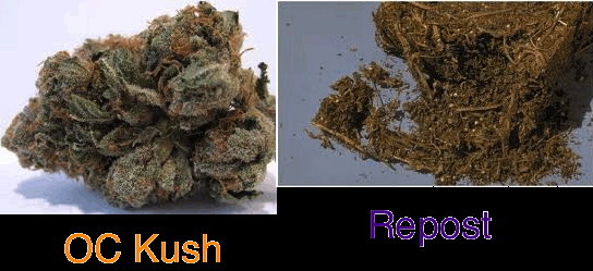 OC Kush VS Repost