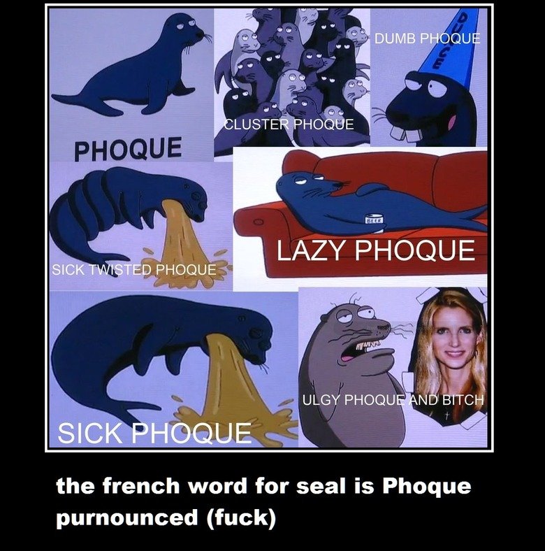 phoque