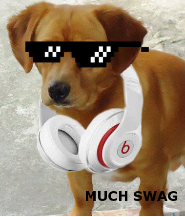 Pug+life+much+style+such+beats_df8180_5549672.jpg