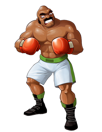 Punch Out Facts Comp