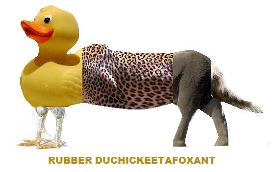 elephant rubber duck
