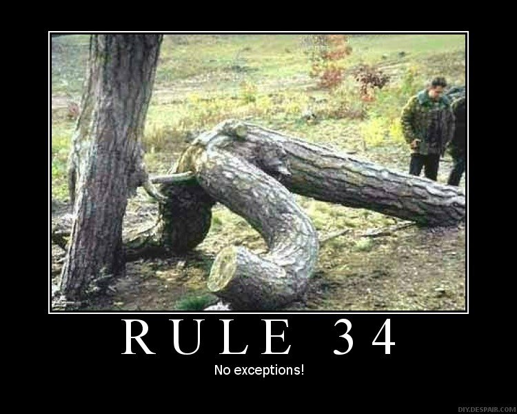 Rule34 1 6447