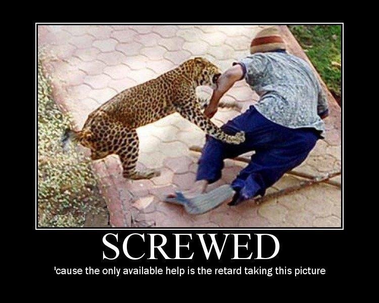 screwed