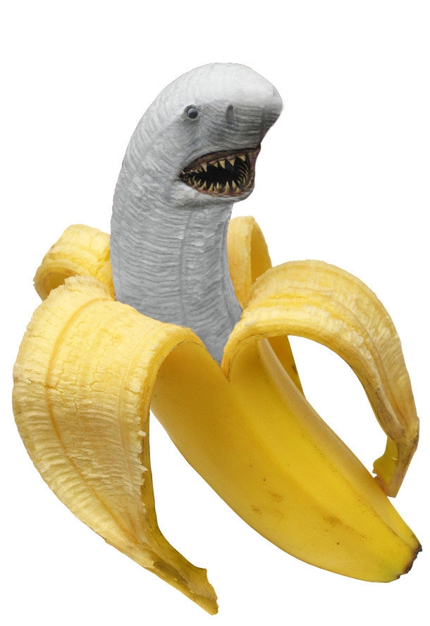 banana shark plush