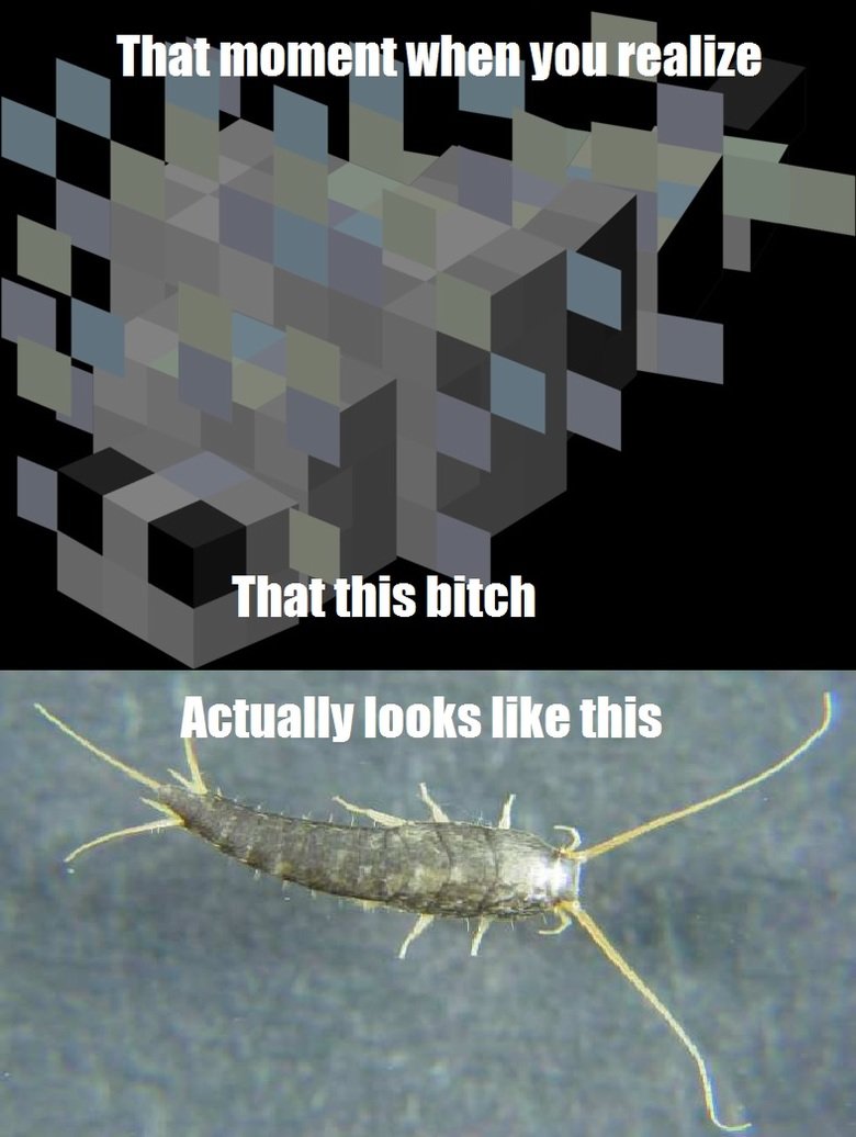 Silverfish