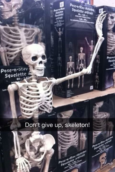 Skeleton Reaction Dump