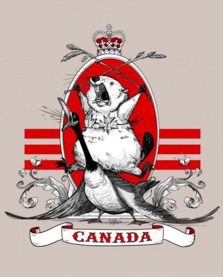 Image result for so much canada