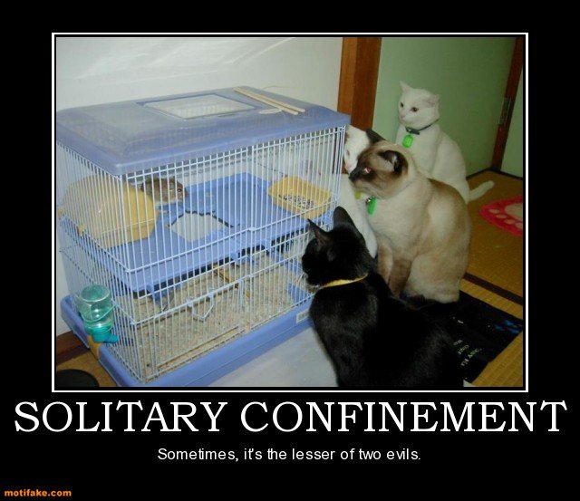 Image result for solitary confinement funny