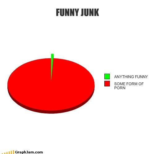 sums up funny  junk