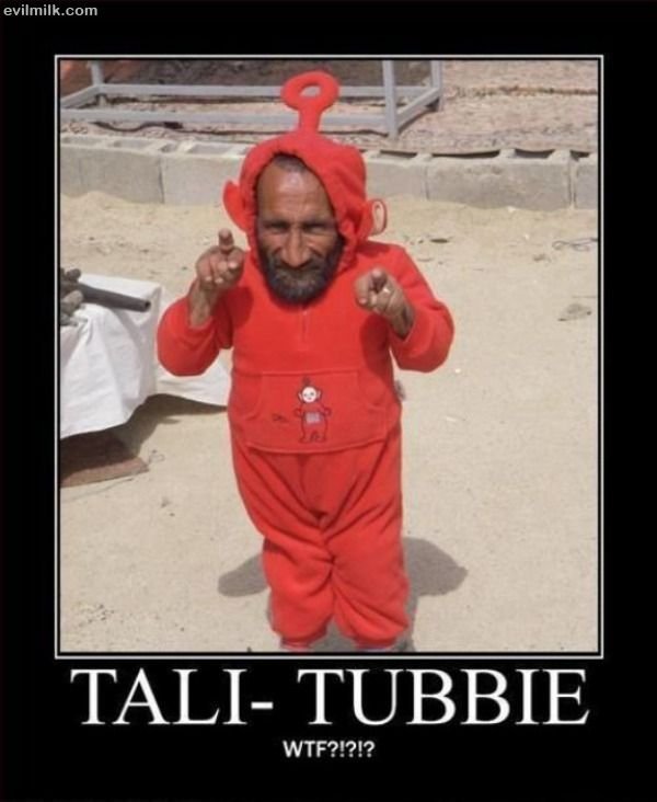 telly tubby teddy