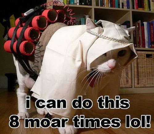 Terrorist Cat, When **** Gets Real.