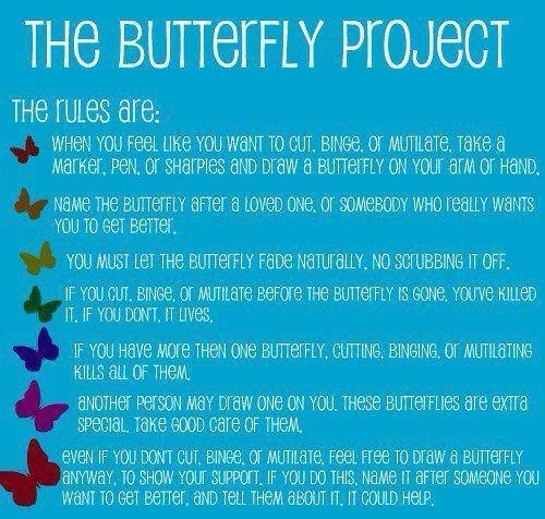 The Butterfly Project