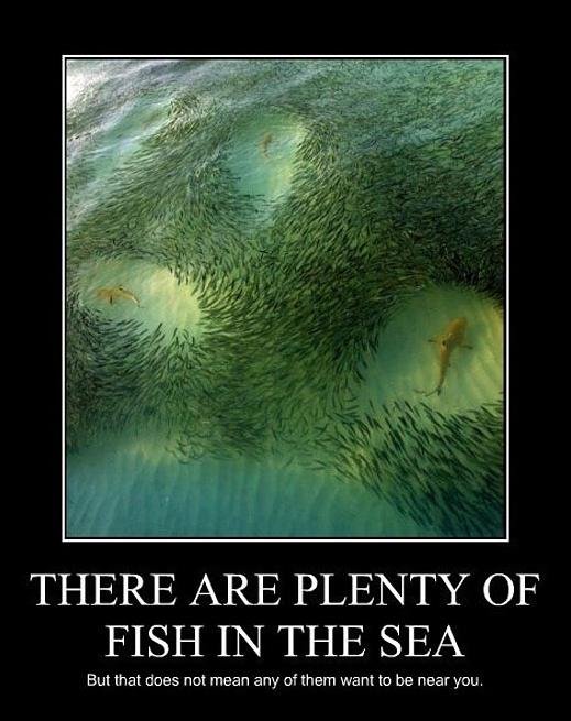 there-are-plenty-of-fish-in-the-sea