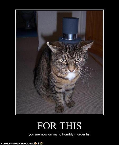 top hat cat