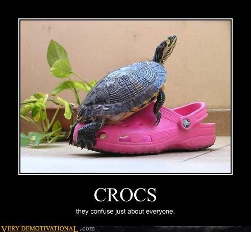 turtle crocs