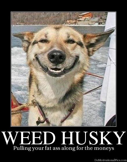 Weed Husky