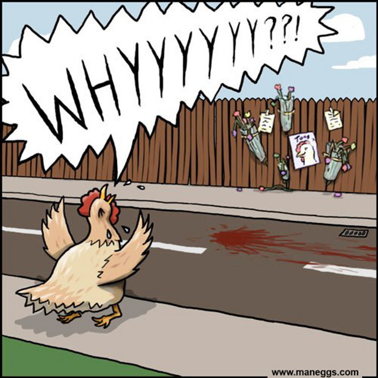 Why'd the chicken cross the road?