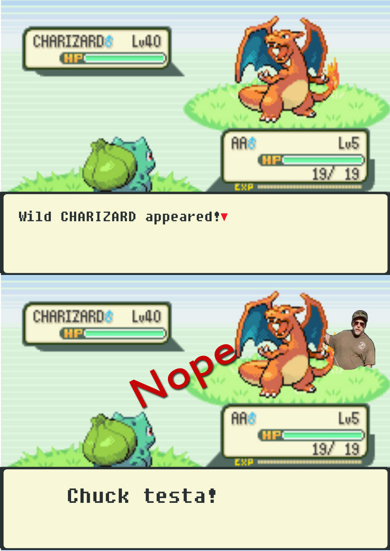 Wild CHARIZARD appeared!