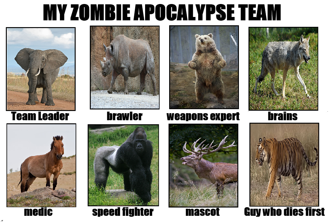 Zombie Apocalypse Team animals