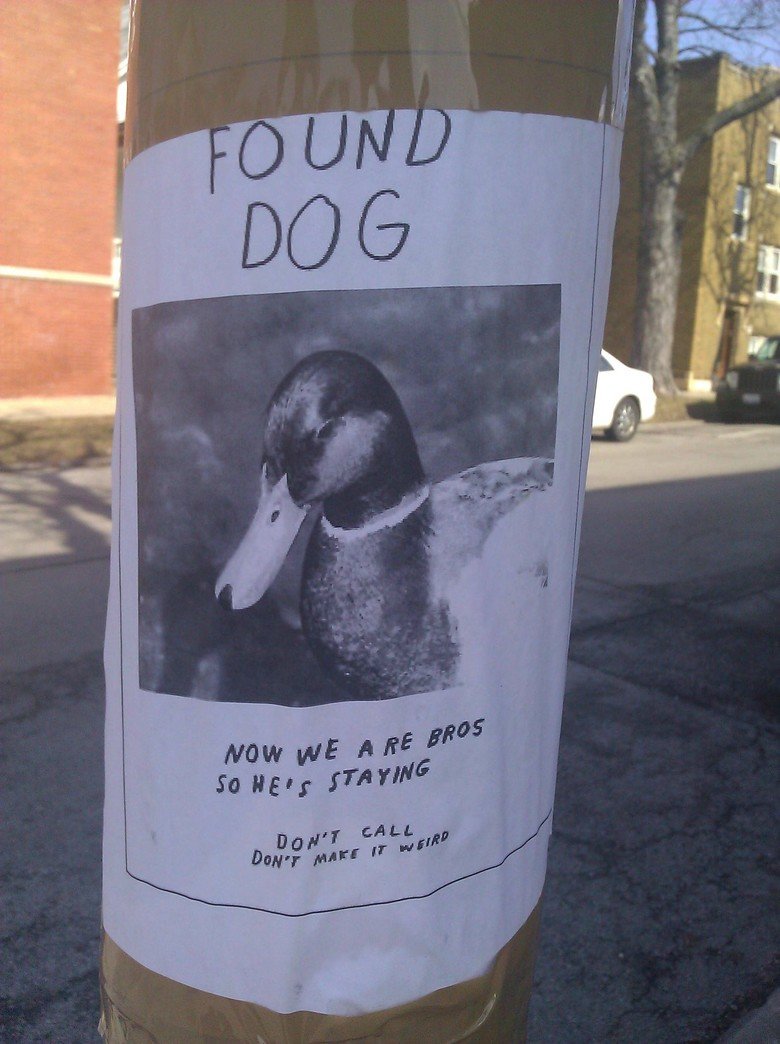 lol+wat.+w+o+r+d+s_9c5928_3664820.jpg